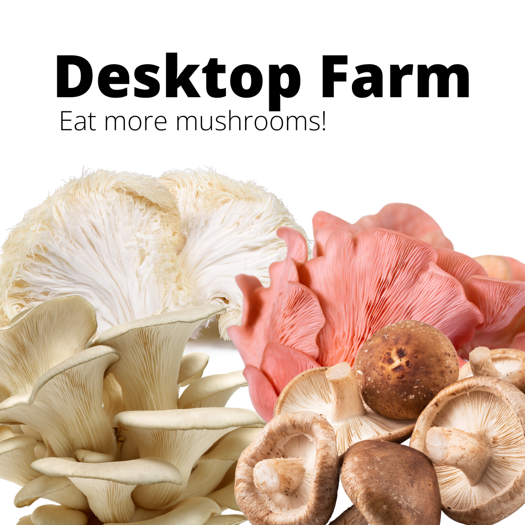 Desktop Fruiting Kit